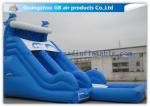 Sea Style Dolphin Inflatable Water Slides , Outdoor Inflatable Water Park With