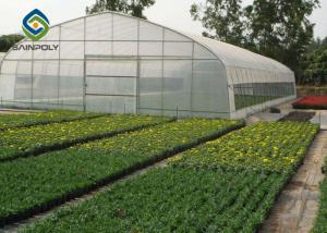 Wholesale 6m Single Tunnel Greenhouse from china suppliers