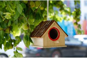Wholesale Fortune Paulownia Wooden Bird Nesting Box Wooden Crafts Supplies from china suppliers