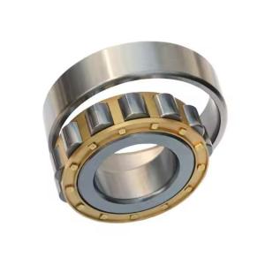 Wholesale Single Row Cylindrical Roller Bearings NJ2311E for Machinery Farm Industries Brass Oil from china suppliers