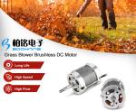 Grass Blower Brushless DC Motor