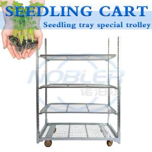 Wholesale Standard Hole Tray Rolling Flower Trolley for Greenhouse Agricultural Planting from china suppliers