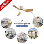 Customized LED Ceiling Fan Light for Modern Nordic Stylish 42 Inch Flush Mount