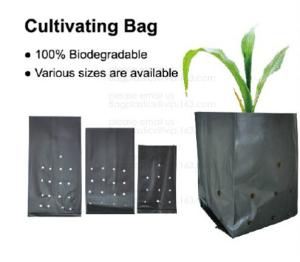 Wholesale Planter Bags, Grow Bags, Cultivating Bags, Nursery Pot, Greenhouse, Agricultural Film, Horticulture Garden from china suppliers