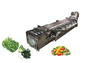 Wholesale Customized Salad Production Line Vegetable Fruit Washing and Cleaning Machine from china suppliers