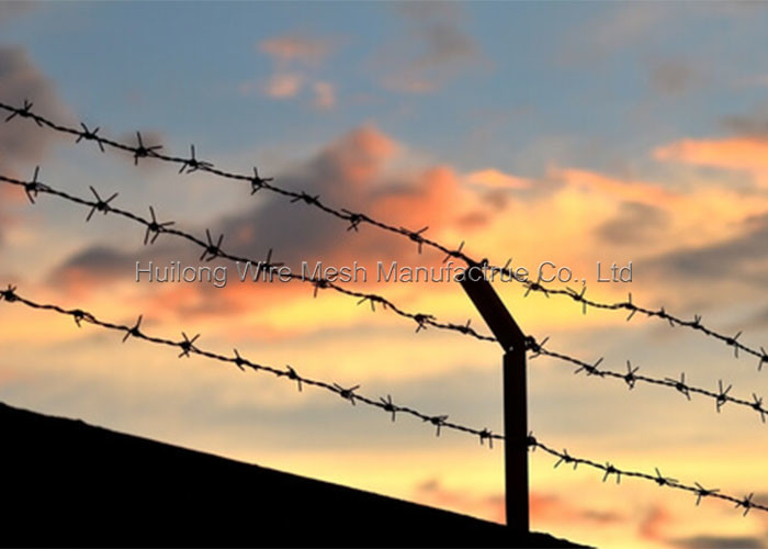 18 Gauge Galvanized Barbed Wire , Anti Theft Double Twisted Barbed Wire