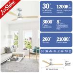 Solid Wood Smart 110v Color Changing Ceiling Fan Remote Control AC Motor