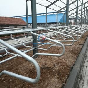 Wholesale Customized Steel Structure Cow Shed Building Prefab Cattle Dairy Farm Metal Frame Sheds from china suppliers