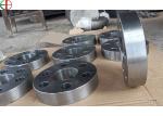 1.4057 Forging Flanges Stainless Steel Alloy Corrosion - Resistance