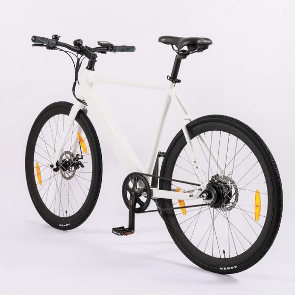 DOMANCA Urban Electric Bike Lightweight Road EBike with Multicolored Carbon Belt