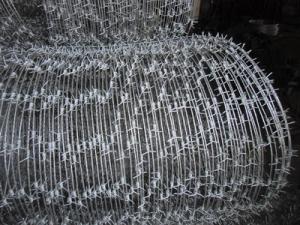 Wholesale Corrosion Resistant Galvanized Steel Barbed Wire Hot Dip Single Strand from china suppliers