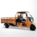 32Ah Storage Battery Heavy Duty Closed Cabin Adult Tricycle with Keel 40*100mm