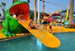 Fiberglass Water Park Splash Pad Frog Small Swimming Pool Slide For Children