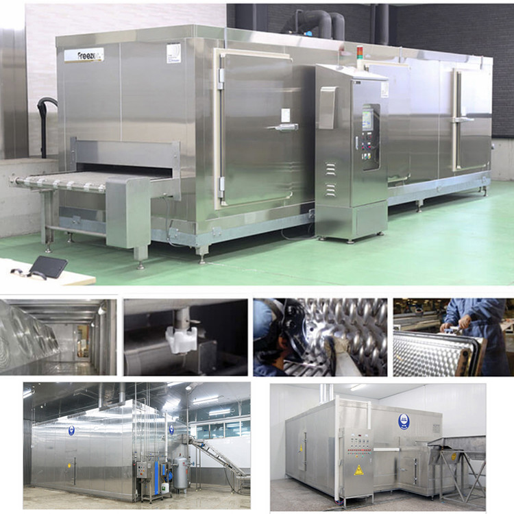 Tunnel Type Fluidized Frozen Machine Food French Fries Seafood Frozen Machine