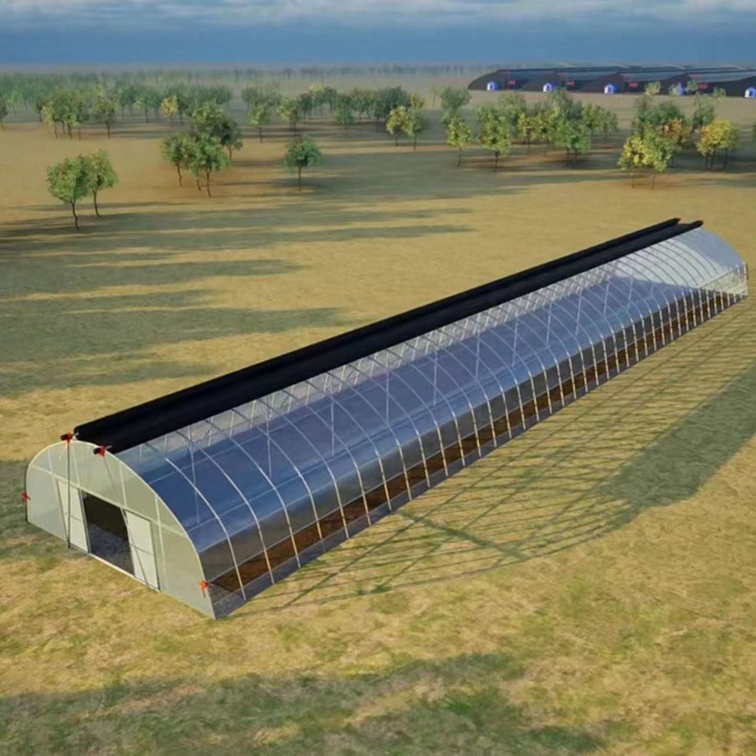 Tunnel Greenhouse Kit