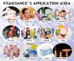 Shampoo Body Wash Fragrances Floral Fragrance Oil Shampoo For Body Wash