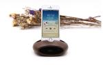 Acoustic Bamboo Wooden Phone Holder Amplifier Speaker in Customized Color
