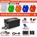 OEM ODM LiFePO4 Lithium Battery Pack Customized Golf Cart Lithium Ion Battery