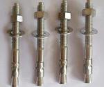 ISO9001 2015 Certified M20 Galvanized Chemical Anchor Bolt for Heavy Duty