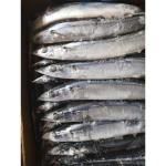 105g - 125g BQF Frozen Pacific Saury Fish
