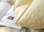 Sunshine Skin Friendly Fabric 70% Duck Down Duvet