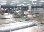 Automatic Seafood Fish High Pressure Bubble Washing Machine Shrimp Cleaning