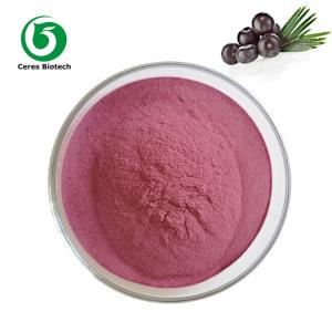 Wholesale Organic Fruit Extract Acai Berry Juice Powder Food Grade 90% from china suppliers