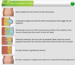Cryolipolysis slimming equipment Cryolipolysis fat freezing slimming equipment