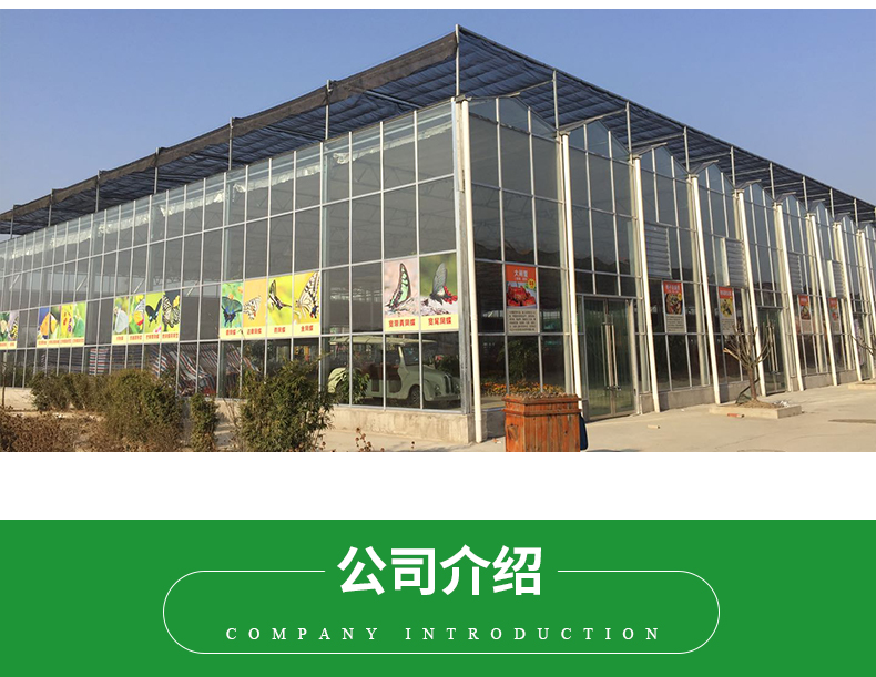 Large Venlo Glass Greenhouse Perfect Fit For Plant Growth Needs