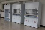 Custom Made Chemistry Fume Hood For Oversea Importers and Sellers