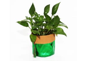 Wholesale 0.55mm Washble Kraft Paper Storage Bags Light Reusable Paper Bag Seedling Pots from china suppliers