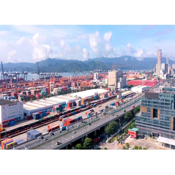 Timely Full Container Load Ocean Freight DDP Worldwide Sea Freight