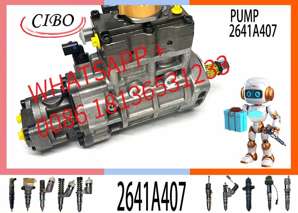 Fuel Injection Pump 368-9171 2641A407 For 320D 321D 323D C6.4 MADE INCHINA