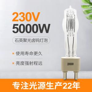 Wholesale 230V 5000W G38 Stage Quartz Lamp Bulb Studio Entertainment Wedding Bar from china suppliers