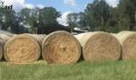 Breathable Round Bale Net Wrap Waterproof 48 Inch Net Wrap Anti UV