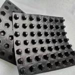 2000MM HDPE Sheet Extrusion Manufacturing