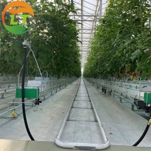 Wholesale Top Ventilation Glasshouse Greenhouse Sides Top Film Covered from china suppliers