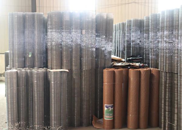 Low Carbon Steel Wire Galvanized Welded Mesh Wire Animal Fence Or Netting Rolls