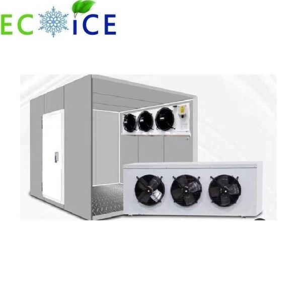 Vegetable Cold Storage Room Fruit Cold Room Freezing Room Seafood Cold Room Industrial Cold Room