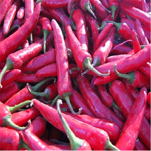 Chefs Delight Spicy Dried Birds Eye Chilli