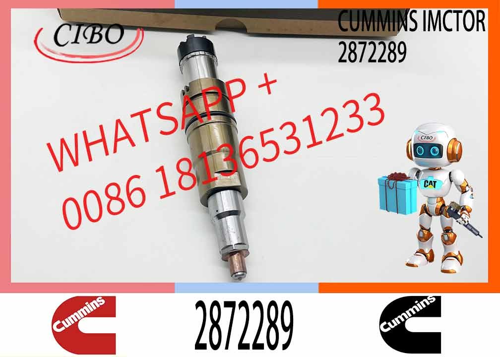 Fuel Injector Diesel Engine Injector Common Rail Injector Repair Kit 2488244 2872544 2872289 2872284 4955080