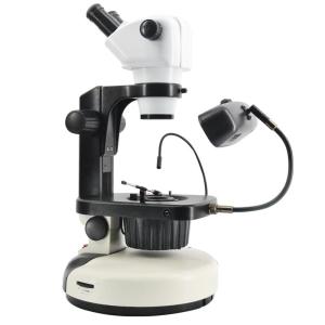 Wholesale Wide Field Fluorescence Microscopy , 115mm Working Distance Microscope from china suppliers
