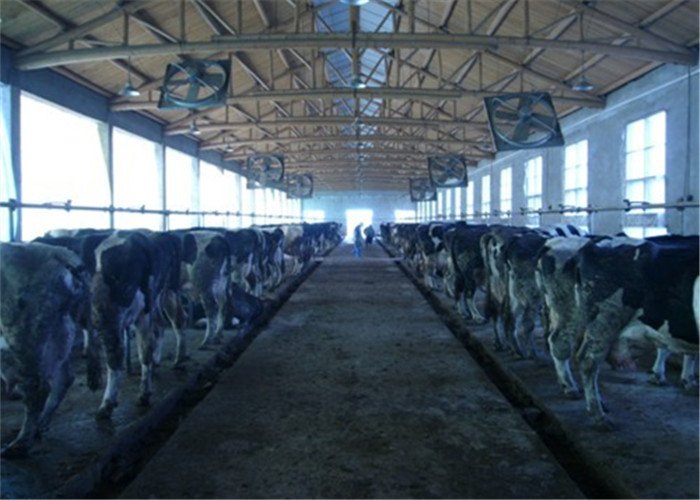 8 Cows Milk System Pipeline Milking Parlor for Milk Sucking with Washing System