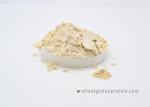 Light Yellow Nx6.25 25kg Vital Wheat Gluten Powder