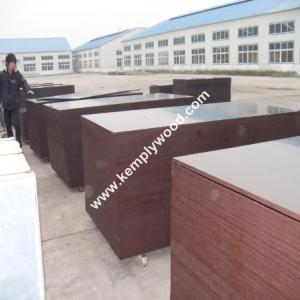 Wholesale Shandong linyi film faced plywood marine plywood for concrete formwork from china suppliers