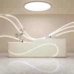 Modern Beauty Hospital Large Clinic Company Reception Counter with High Density