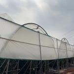 Uv Resistant Polyethylene Berry Hoop Film Greenhouse With Door Keep Warm Growing