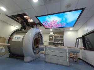 Wholesale 3.0T Siemens Machine Faraday Cage Mri Room Shielding Copper Installation RF from china suppliers