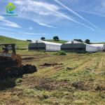 Hemp Cultivation Light Deprivation Greenhouse