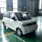 Made in BLAVAL High Speed Adult Electric Car RHD Chinese Electric Car 2024